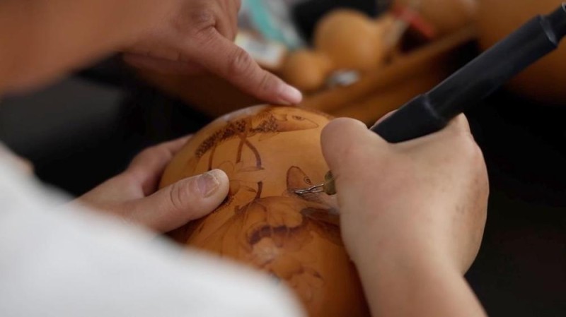 新华视点|特色农业“金钥匙” 打开乡村振兴“富民门”