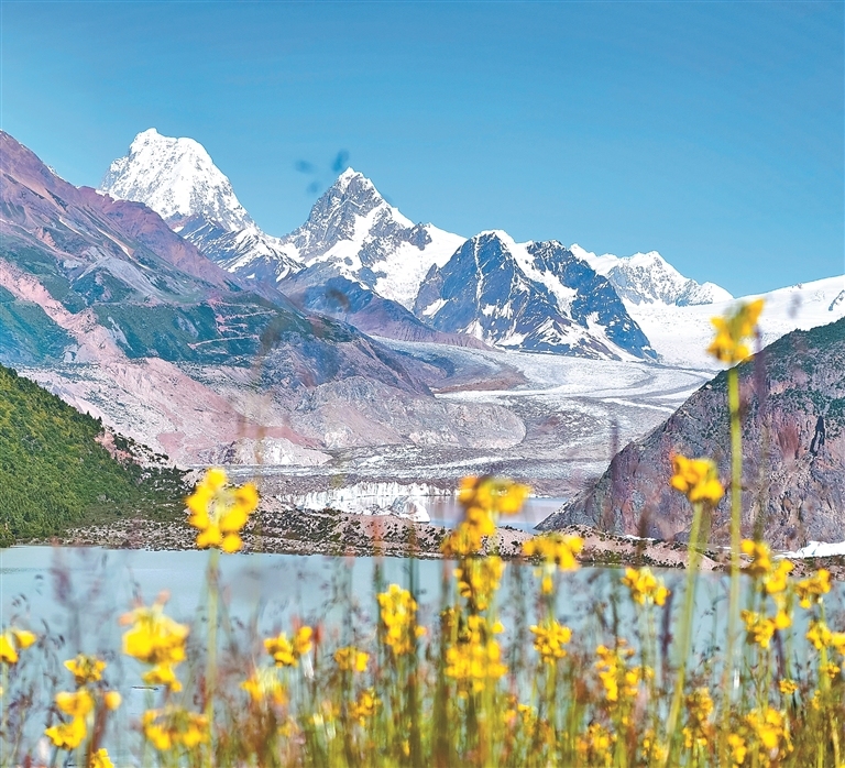 追“风”逐“光” 向绿而行