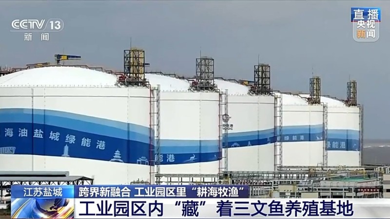 液化天然气储备基地里能养三文鱼？冷能解锁“冷经济”