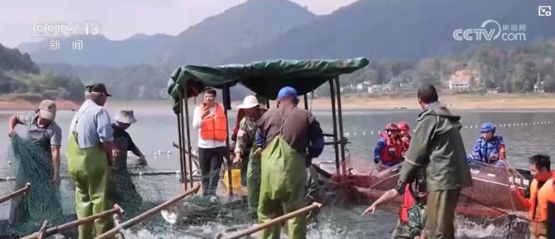 品蟹宴、捕鱼乐、果菜香!共享金秋丰收喜悦 多地特色田园体验点燃乡村文旅消费热