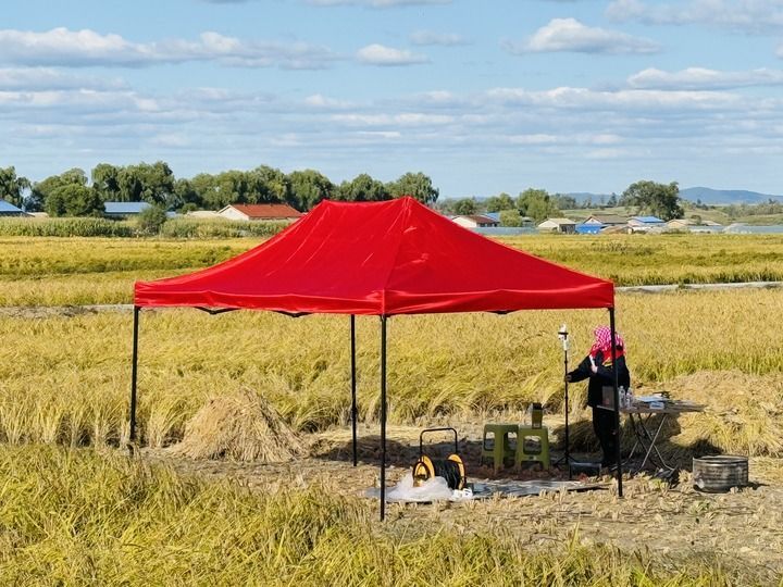 端牢中国饭碗 共护大国粮仓――写在第45个世界粮食日到来之际