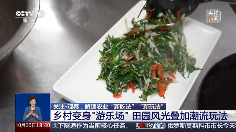 从实验室、生产线到千里沃野 解锁农业“新吃法”“新玩法”