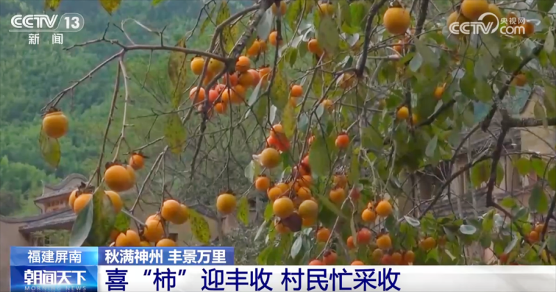 传统与现代融合“交响” 古村落呈现“人来、村活、业兴、文盛”繁荣景象