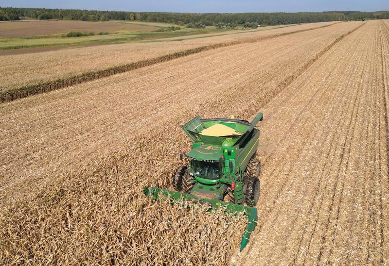 冀云深度丨中国饭碗，穰穰满家