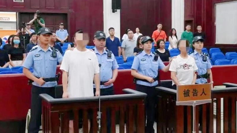 国宝之“伤”：“大熊猫被虐待”网络谣言案调查