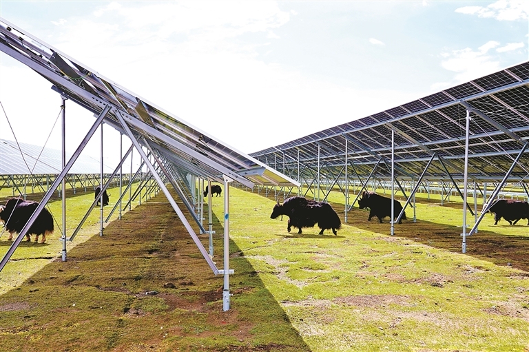 追“风”逐“光” 向绿而行