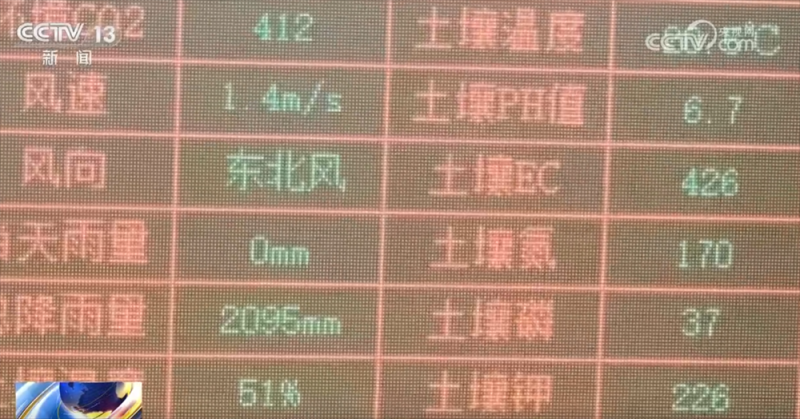 传统与现代融合“交响” 古村落呈现“人来、村活、业兴、文盛”繁荣景象