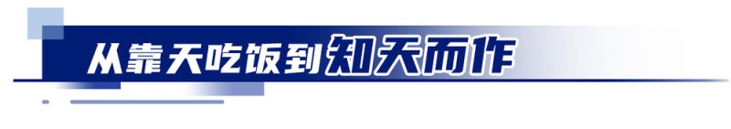 冀云深度丨中国饭碗，穰穰满家