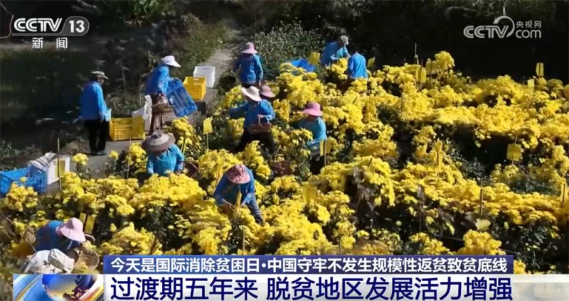 一组组数据映照“稳稳的幸福”  中国守牢不发生规模性返贫致贫底线