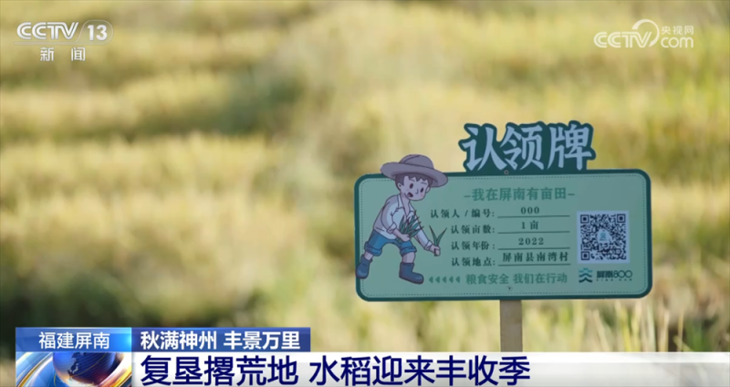 传统与现代融合“交响” 古村落呈现“人来、村活、业兴、文盛”繁荣景象