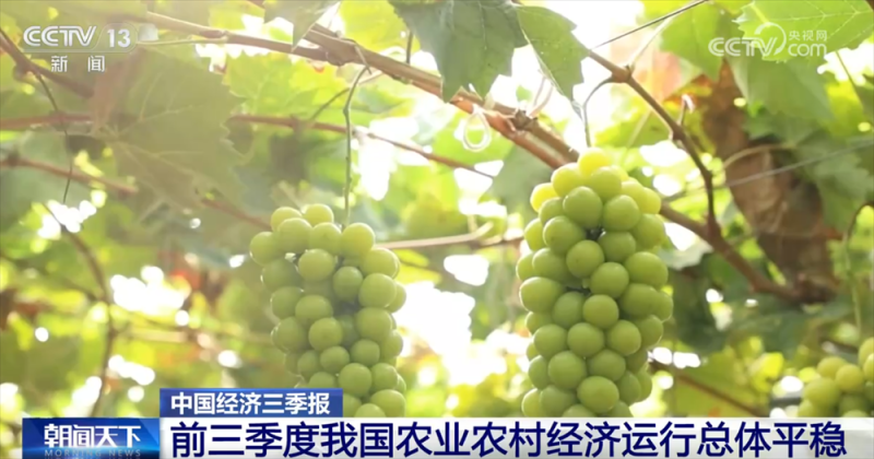 透过数据看前三季度“三农”成绩单 为经济社会高质量发展提供有力支撑