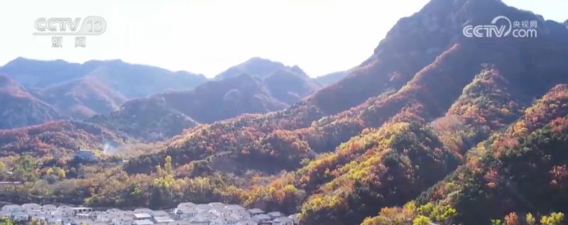 “斑斓秋色+新潮玩法”点燃赏秋游新热力 文旅新消费活力十足