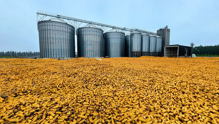 端牢中国饭碗 共护大国粮仓――写在第45个世界粮食日到来之际