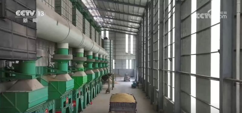 厘米级精度收割、“农田哨兵”应用……秋收“科技范儿”为粮食安全注入新动能