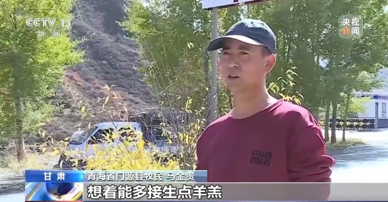 65万牛羊异地过冬 借牧双方资源互补催生产业新模式