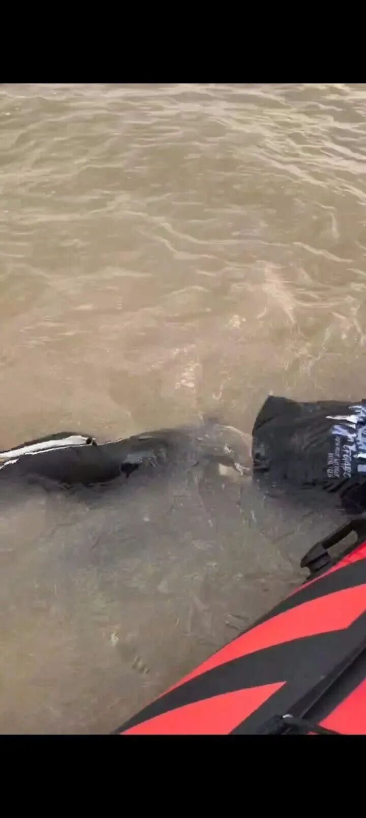 230斤小伙酒后落入钱塘江，漂浮7小时终获救