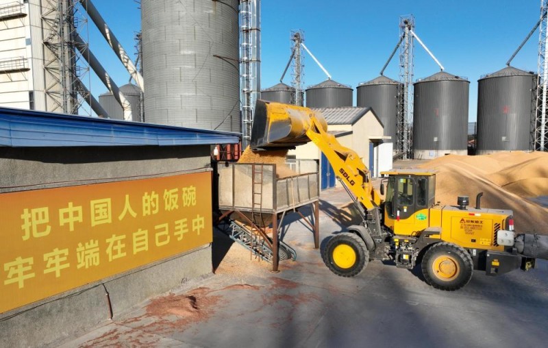 端牢中国饭碗 共护大国粮仓――写在第45个世界粮食日到来之际