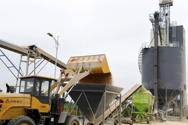 抢!多地连阴雨 争分夺秒保秋粮