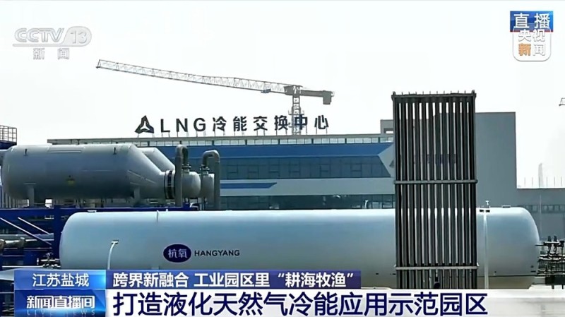 液化天然气储备基地里能养三文鱼？冷能解锁“冷经济”