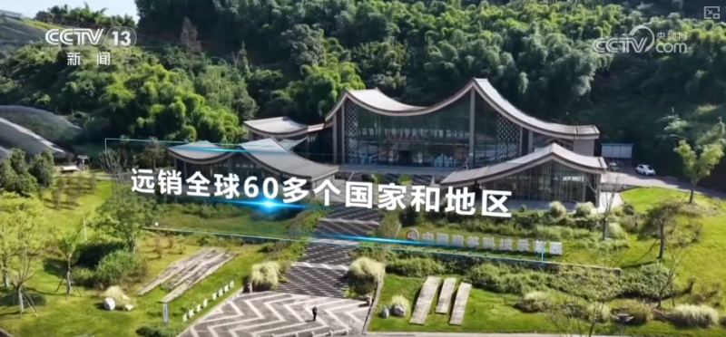 “土疙瘩”在创新中华丽转身为“中国新特产” 滋味千年幻化身形行销世界