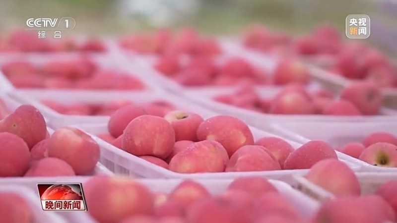 稻浪翻滚、瓜果飘香 神州大地好“丰”景