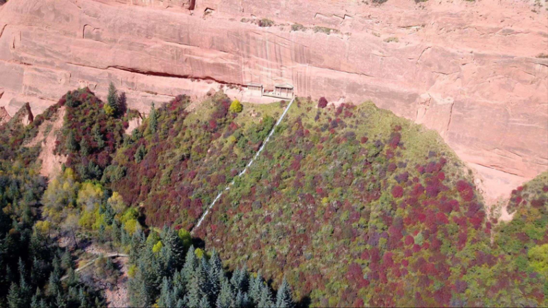 【何以中国・壁画里的中国】一位守窟人的二十年:与孤寂为伴,以赤诚守护“国宝”