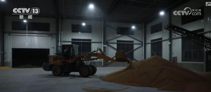 全国秋粮收获过五成！全程机械化护航秋收 粮食生产提质增效