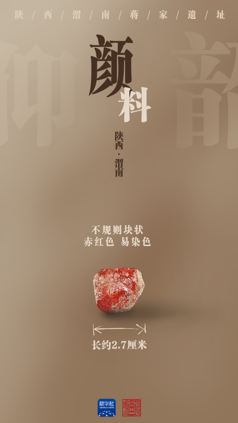 国宝画重点｜陶器上新！陕西蒋家遗址展现史前文明景象