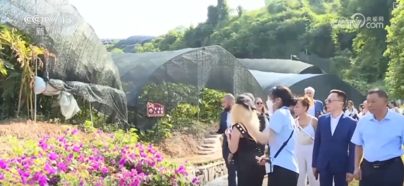 “土疙瘩”在创新中华丽转身为“中国新特产” 滋味千年幻化身形行销世界