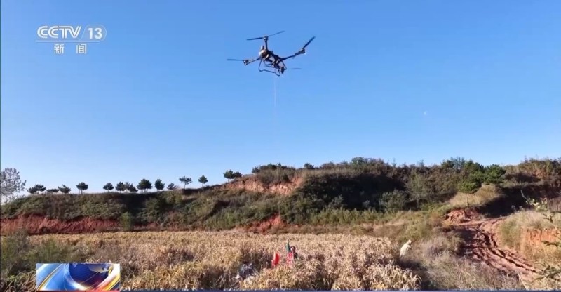 降雨导致秋粮受灾 与时间赛跑无人机助力抢收