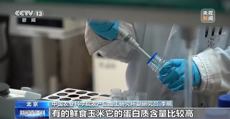 如何挑选口感好品质佳的鲜食玉米?这份指南请收好