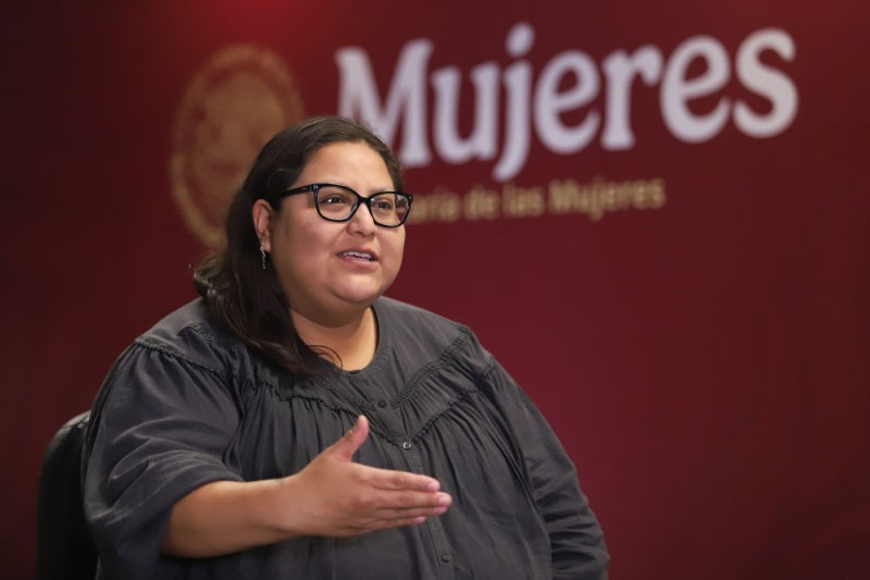 全球妇女峰会・专访｜期待全球妇女峰会汇聚希望、推动进步――访墨西哥妇女部长埃尔南德斯