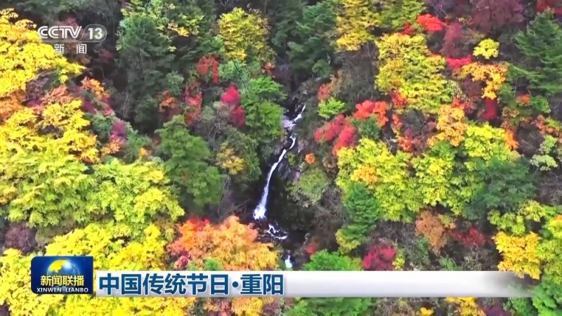 文化中国行丨登高远眺 踏秋赏景 一起感受重阳节文化之美