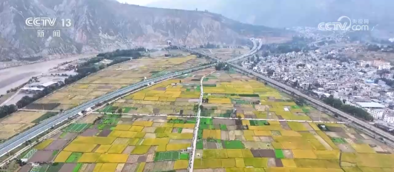 厘米级精度收割、“农田哨兵”应用……秋收“科技范儿”为粮食安全注入新动能