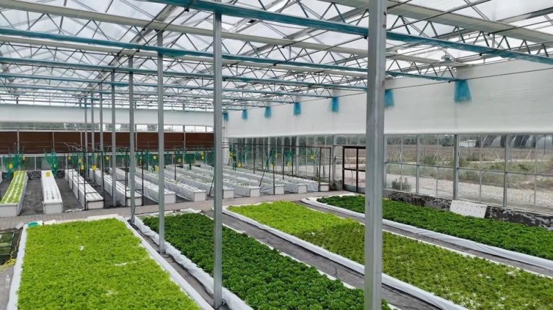 新华视点|特色农业“金钥匙” 打开乡村振兴“富民门”