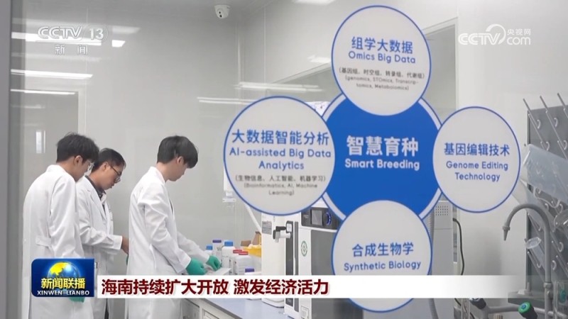 自贸创新赋能陆海联动 广西、海南持续扩大开放激发经济活力