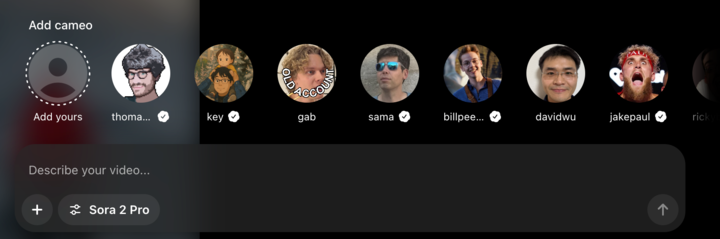 如果我死了,请不要用 Sora 复活我