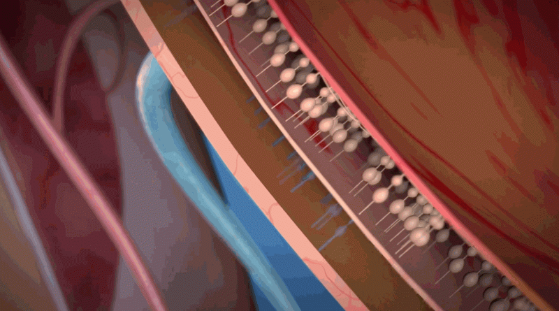 一副 AI 眼镜,让 500 万盲人有了重见光明的希望