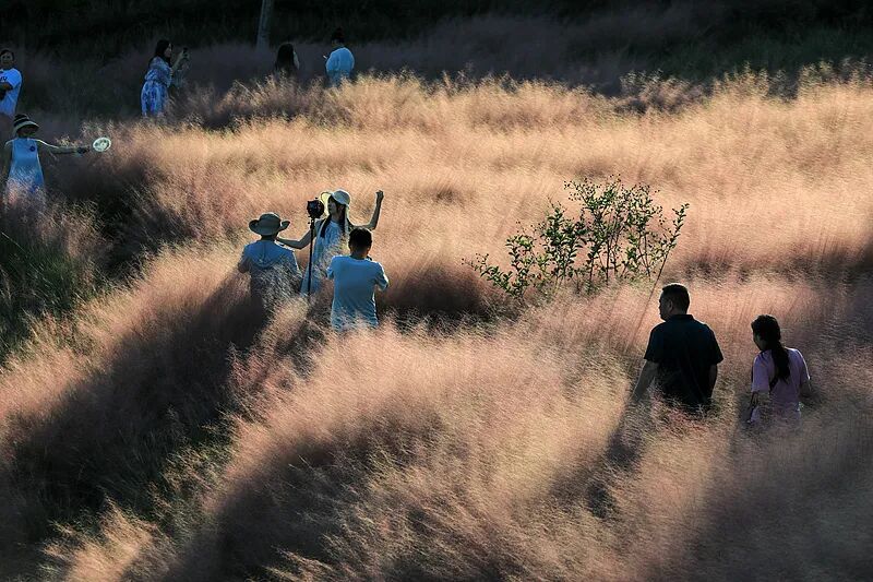 勿为追求“出片”涉足险境 收好这份拍照安全提示