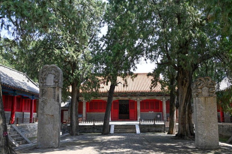 第一批“国保单位・古树名木”协同保护名录公布