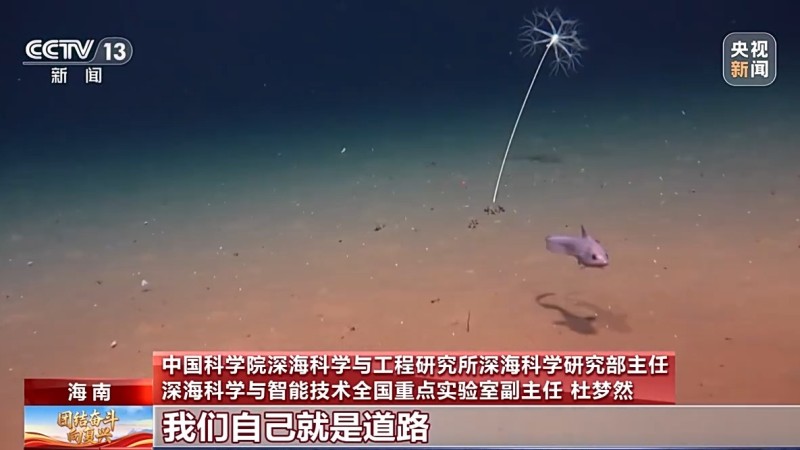 “深海本没有路，我们就是道路” 中国载人深潜“双子星”勇闯无人区