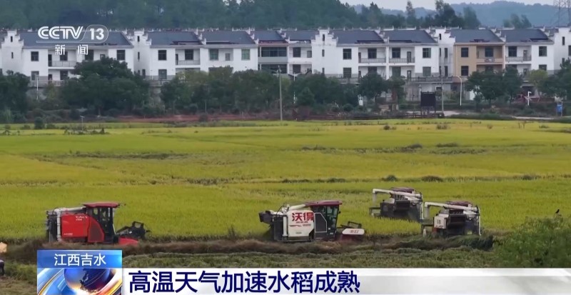 从收割到仓储 看智慧农业如何“拿捏”粮食安全
