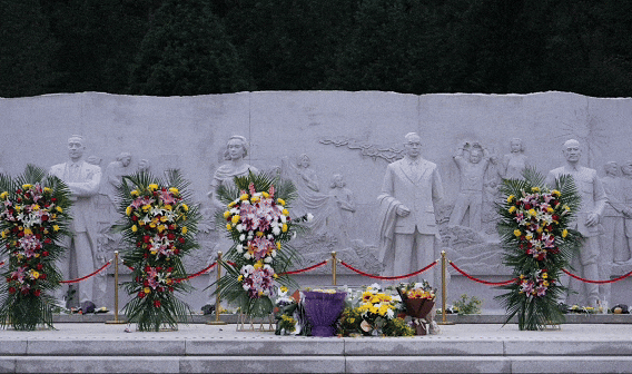 总台周末看点丨打开你的幸福清单