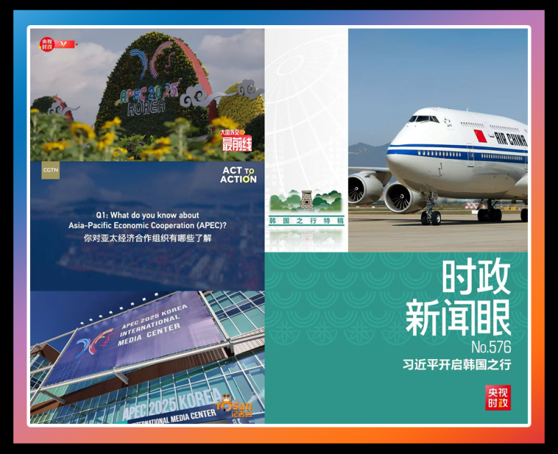 总台周末看点丨11月,整装待发!