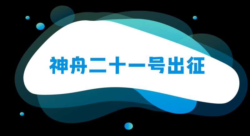 总台周末看点丨11月,整装待发!