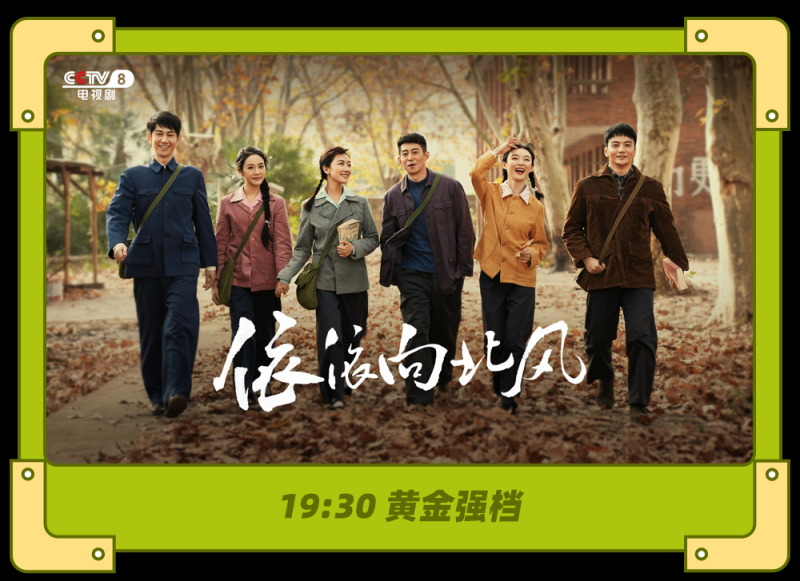 总台周末看点丨11月,整装待发!