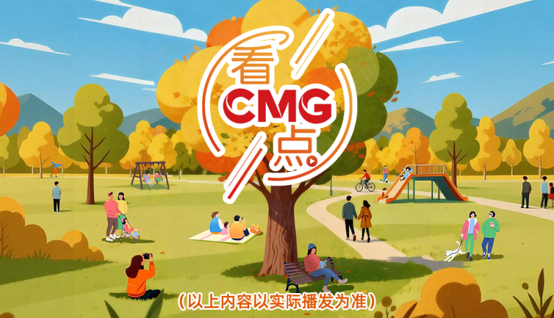 总台周末看点丨11月,整装待发!