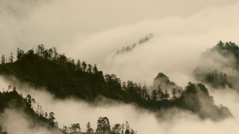 新华视点｜系列纪录片《大径山》第一集：参山