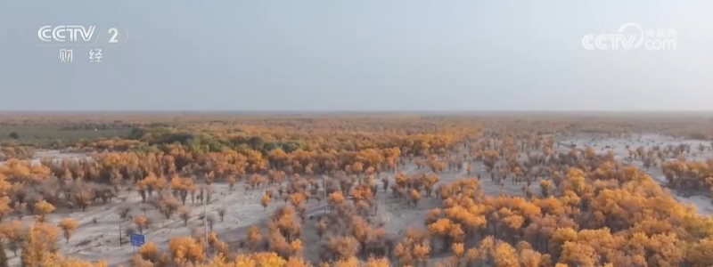 “斑斓秋色+新潮玩法”点燃赏秋游新热力 文旅新消费活力十足