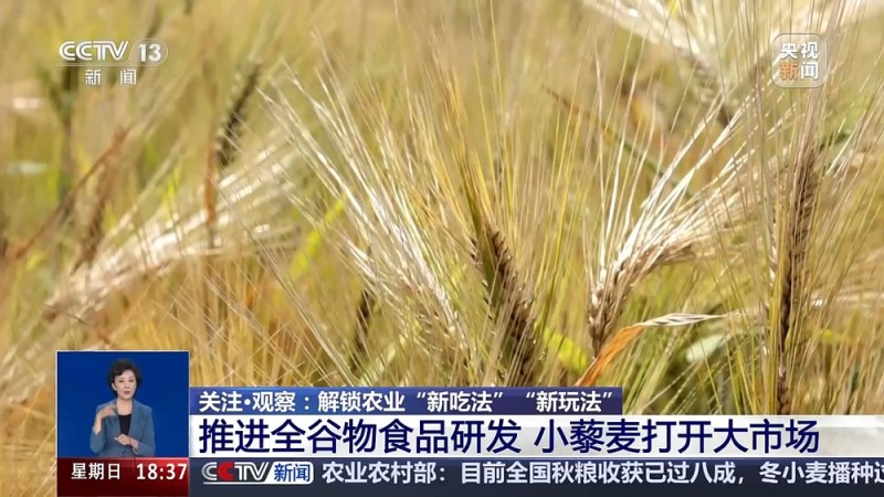 从实验室、生产线到千里沃野 解锁农业“新吃法”“新玩法”